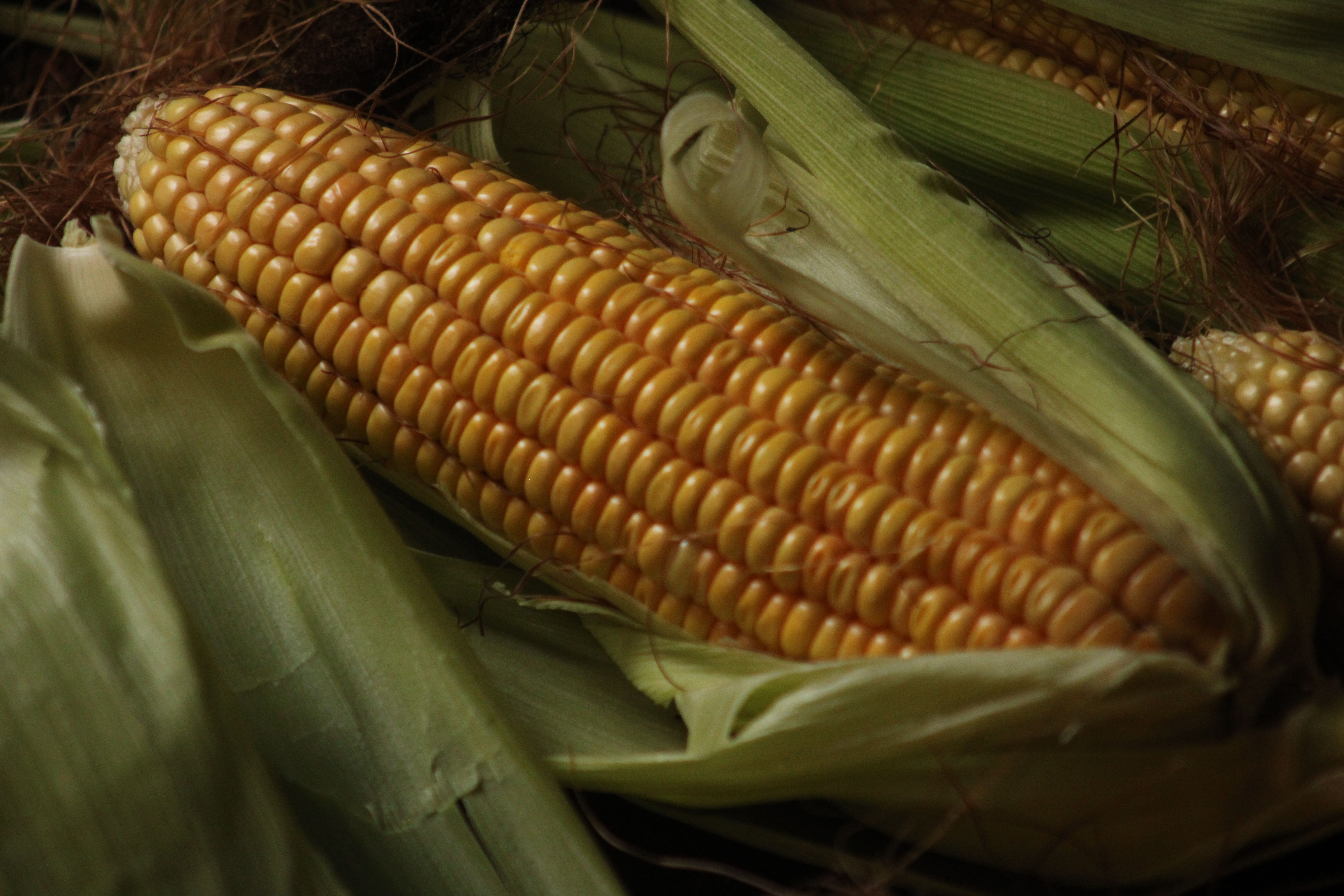 Pejabat Ukraina: Serangan Rudal Rusia ke Kapal Pengangkut Jagung di Dekat Odesa Tewaskan 10 Orang